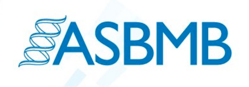 American Society for Biochemistry and Molecular Biology